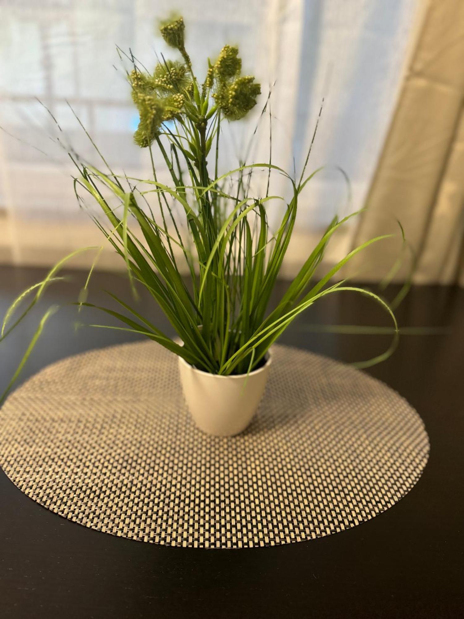 M&Bluxux Apartaments Κρέφελντ Εξωτερικό φωτογραφία